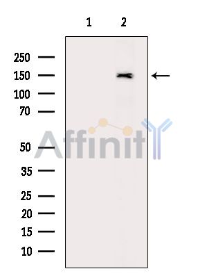 Валидация Affinity DF15243 - 11514