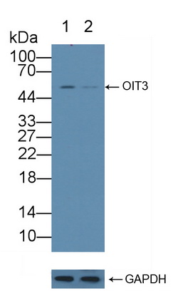 12145