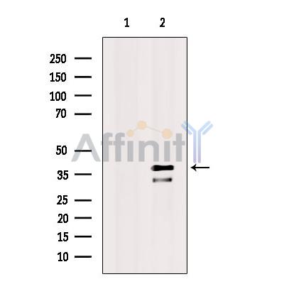 Валидация Affinity DF3786 - 14889