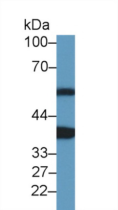 10327