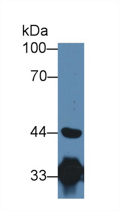 12842