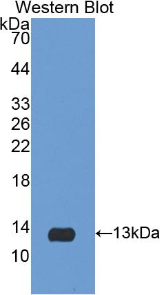 36758