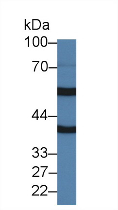 14365