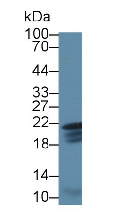 8381