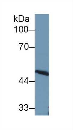 9406