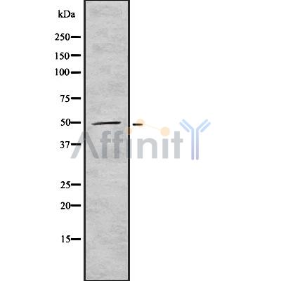 Валидация Affinity DF8196 - 20034