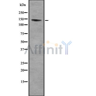 Валидация Affinity DF8867 - 20963