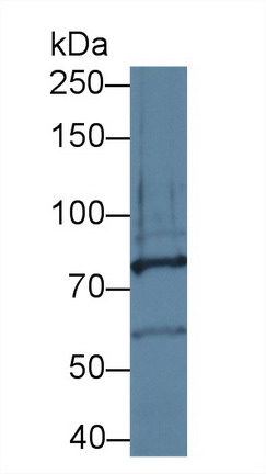 8590
