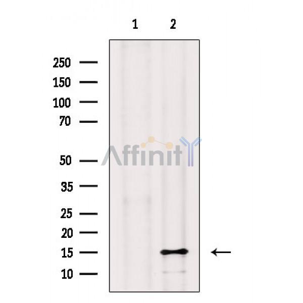 Валидация Affinity AF6786 - 4029