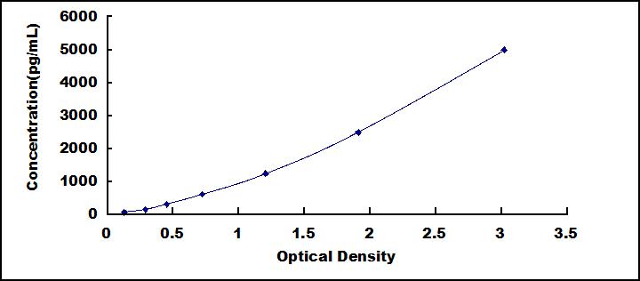 65071