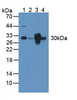 6493
