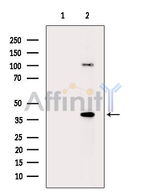 Валидация Affinity DF14563 - 10559