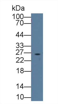 12530