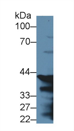 8371