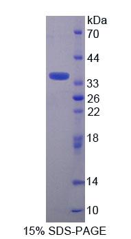 59449