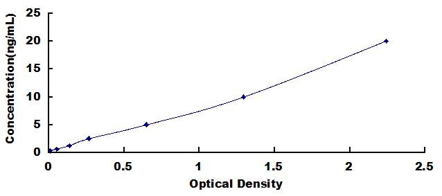 37020