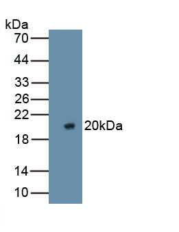 39659