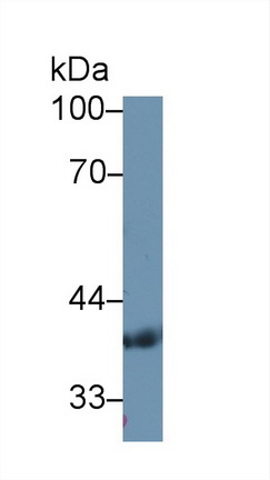 9698