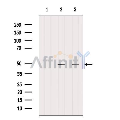 Валидация Affinity DF8828 - 20891
