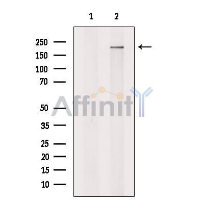 Валидация Affinity DF13376 - 8621