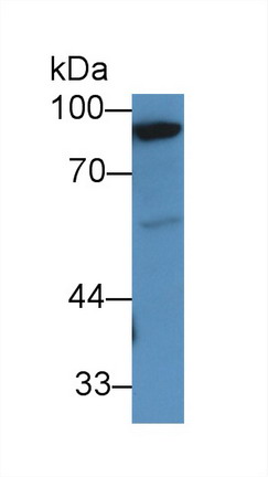 14941