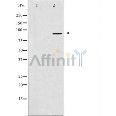 Валидация Affinity AF5217 - 2682