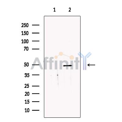 Валидация Affinity DF13676 - 9258