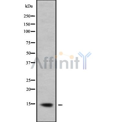 Валидация Affinity DF9021 - 21247