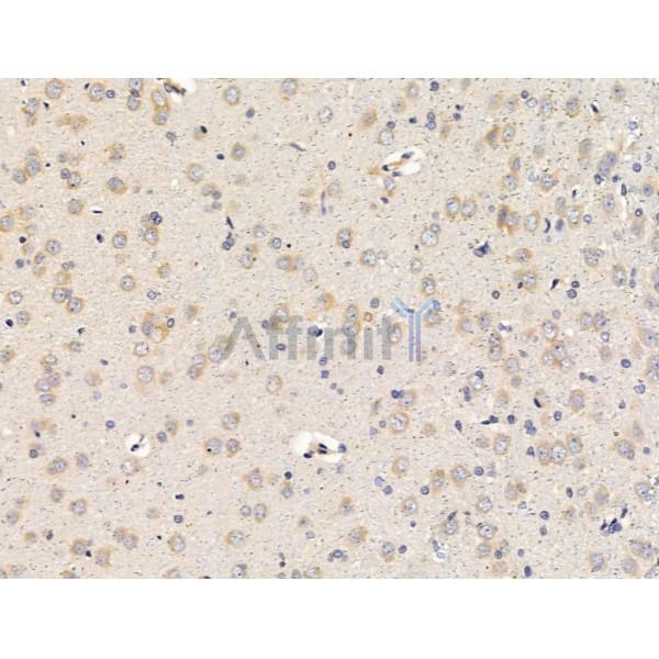 Валидация Affinity DF13428 - 8740