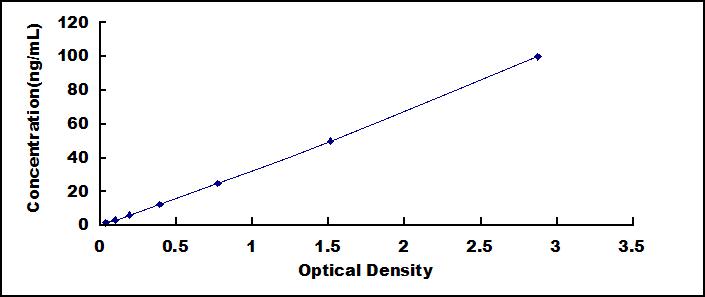62207