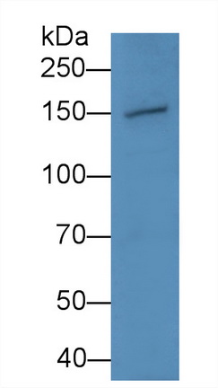 14930