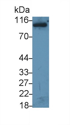 48878