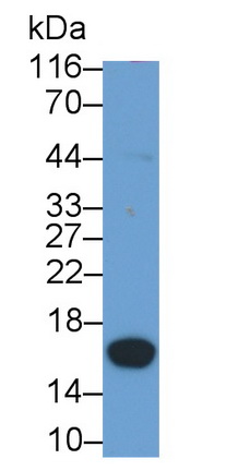 5356