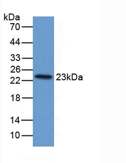 3940