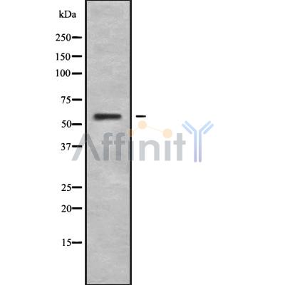 Валидация Affinity DF10108 - 5611