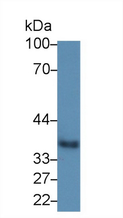 13866