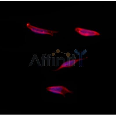 Валидация Affinity DF12473 - 7026