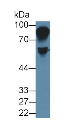 8740