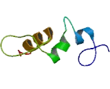 Zinc Finger Protein 704 (ZNF704)
