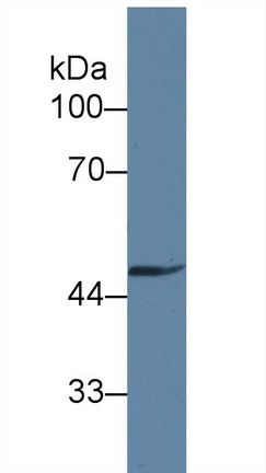 8373