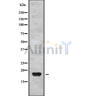 Валидация Affinity DF8076 - 19916
