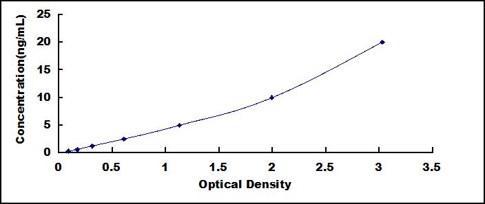 62072