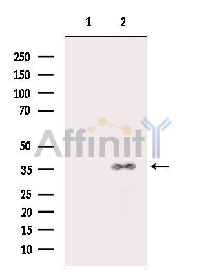 Валидация Affinity DF15150 - 11416
