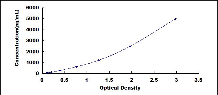 54944