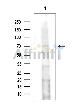 Валидация Affinity DF15872 - 12384