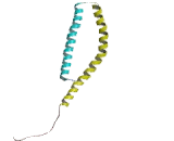 Synuclein Gamma (SNCg)