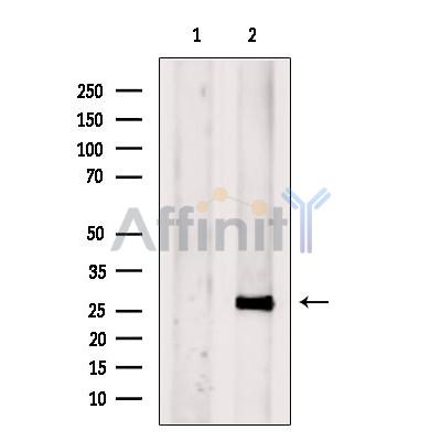 Валидация Affinity DF12200 - 6449