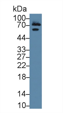 8689