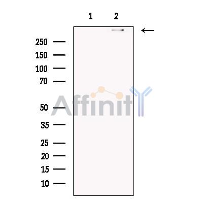 Валидация Affinity DF13584 - 9057