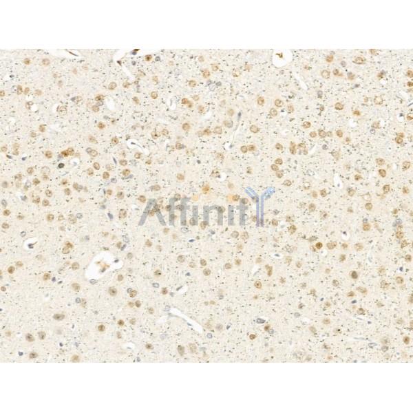 Валидация Affinity DF10112 - 5621